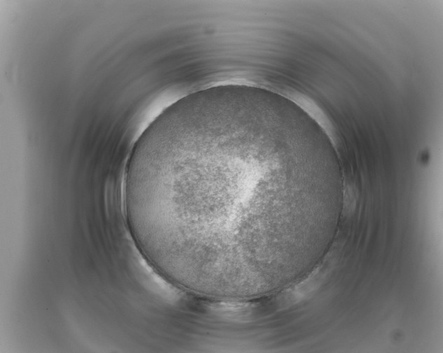 X0000093771290200710231305