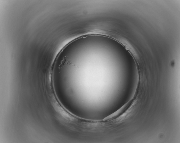 X0000093771292200710231305