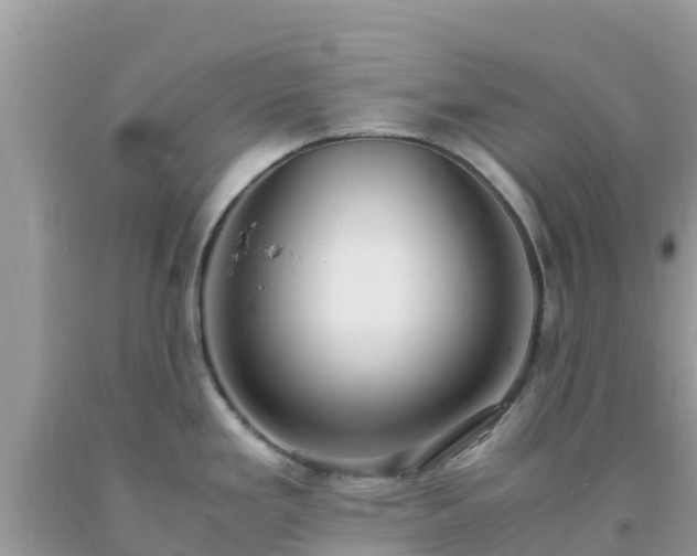 X0000093771293200710231305