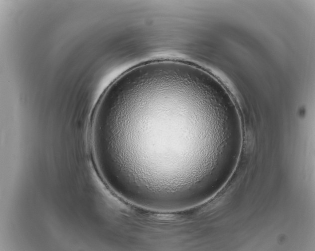 X0000093771295200710231305