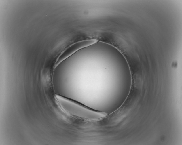 X0000093771298200710231304