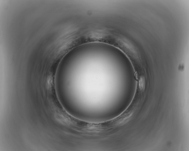 X0000093771299200710231304