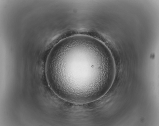 X0000093771301200710231304