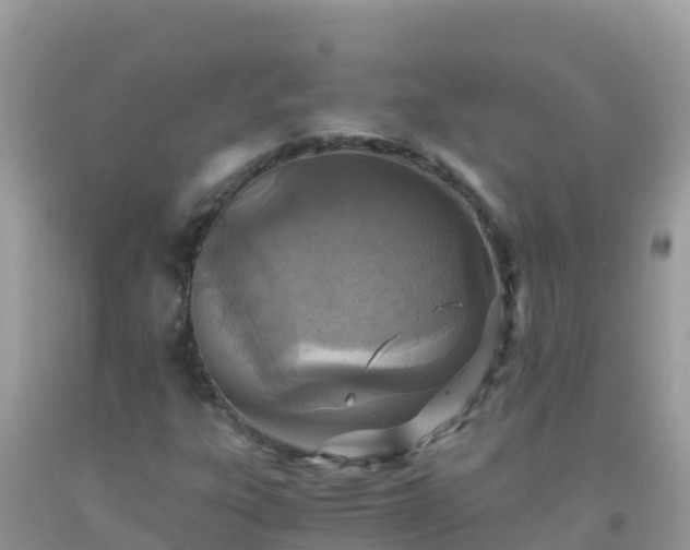 X0000093771303200710231304