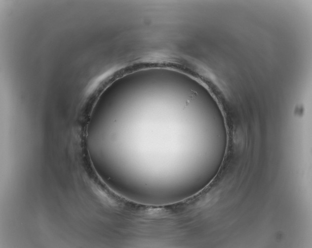 X0000093771304200710231304