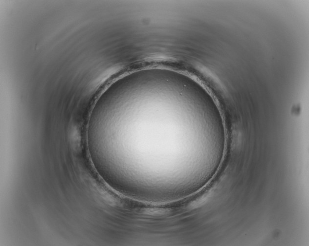 X0000093771305200710231304