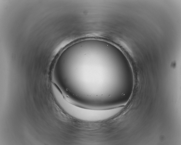 X0000093771308200710231304