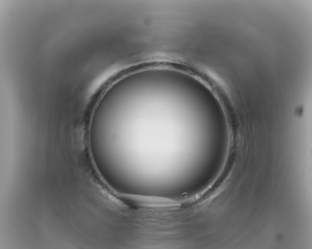 X0000093771310200710231304