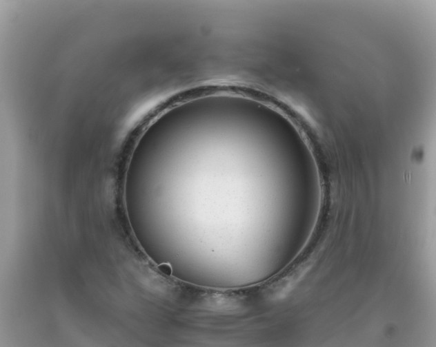 X0000093771311200710231304