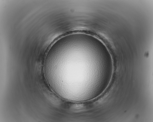 X0000093771313200710231304