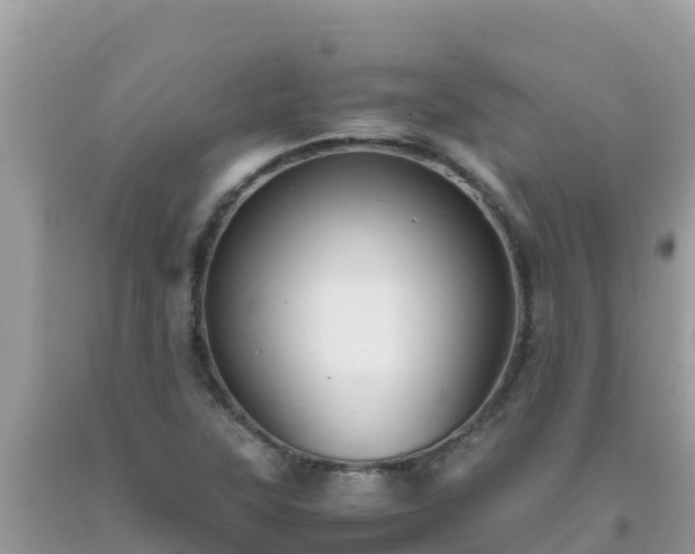 X0000093771315200710231304