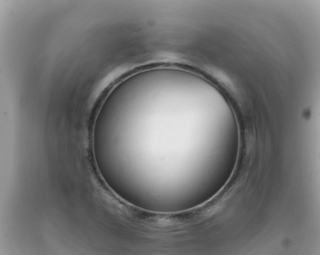 X0000093771318200710231304