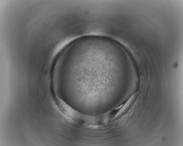 X0000093771319200710231304