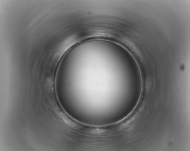 X0000093771321200710231304