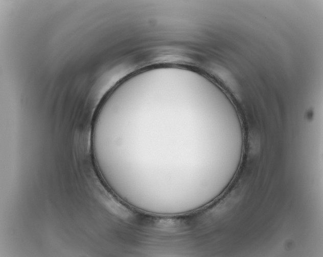 X0000093771322200710231305