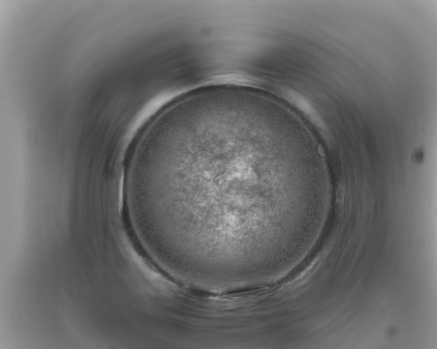 X0000093771323200710231305