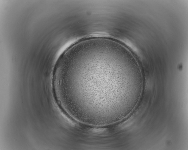 X0000093771325200710231305