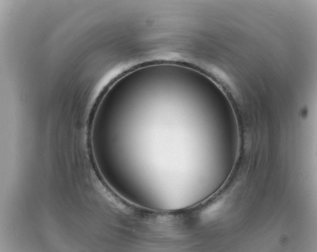 X0000093771326200710231305