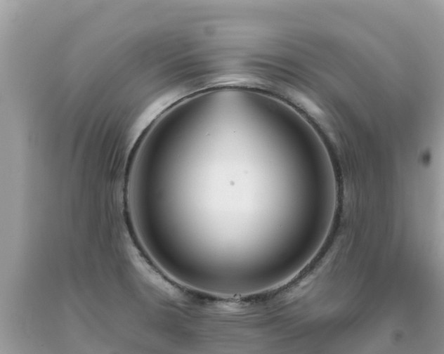 X0000093771330200710231305