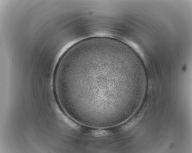 X0000093771331200710231305