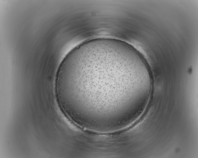 X0000093771333200710231305