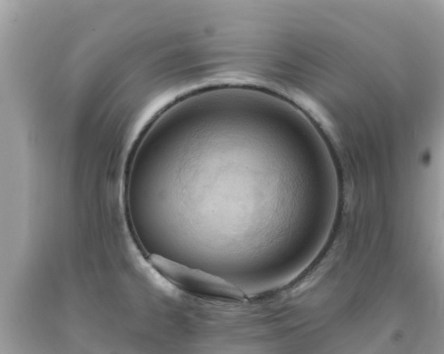 X0000093771334200710231305