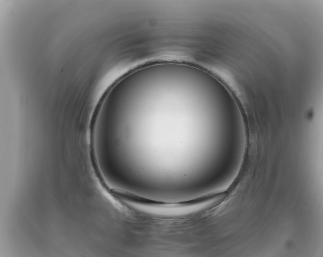 X0000093771335200710231305