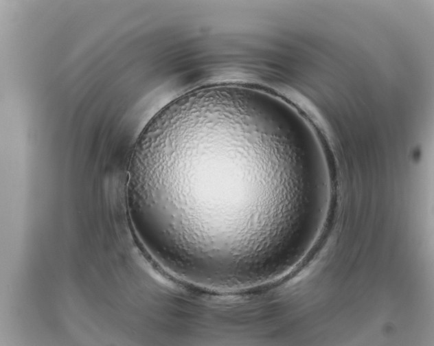 X0000093771337200710231305