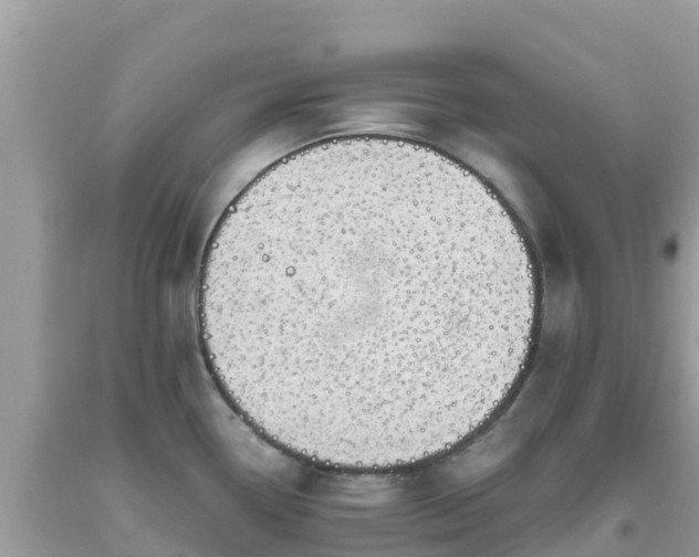 X0000093771338200710231305