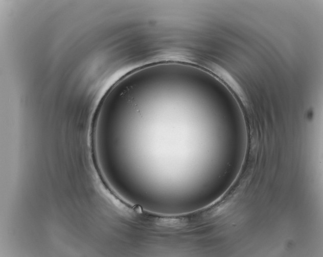 X0000093771339200710231305