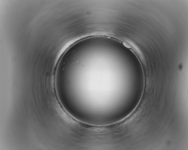 X0000093771340200710231305