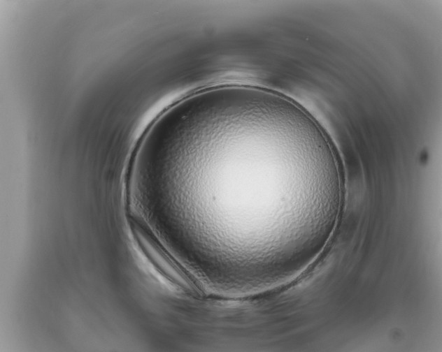 X0000093771341200710231305