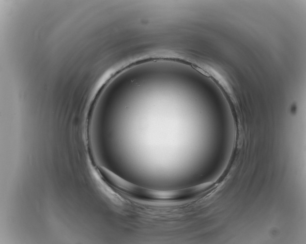 X0000093771342200710231305