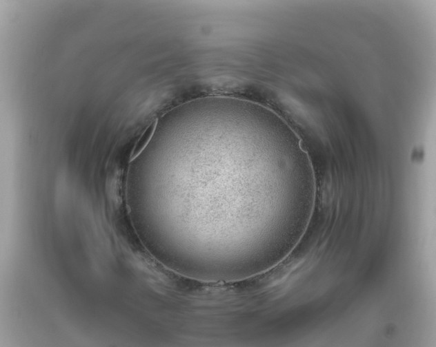 X0000093771346200710231304