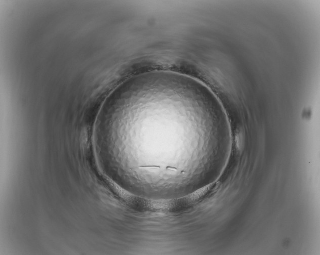 X0000093771347200710231304