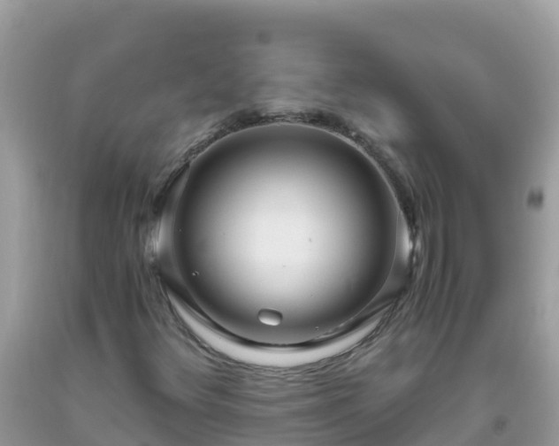 X0000093771348200710231304