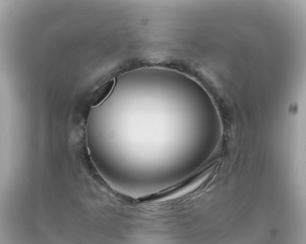 X0000093771349200710231304