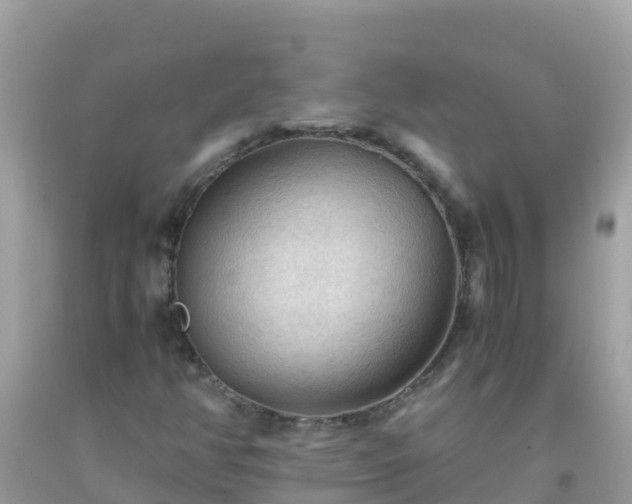 X0000093771350200710231304