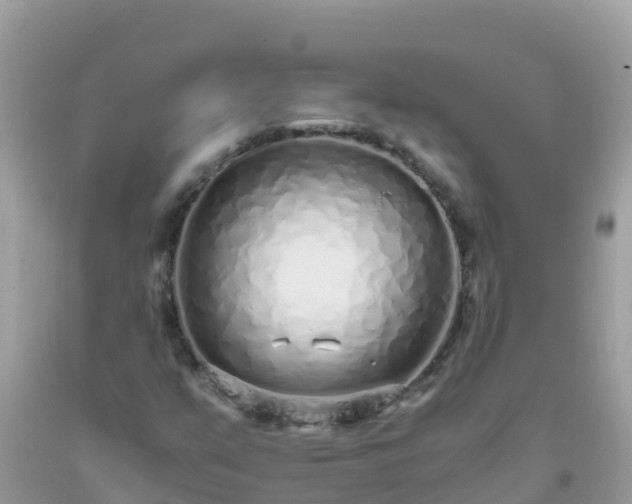 X0000093771351200710231304