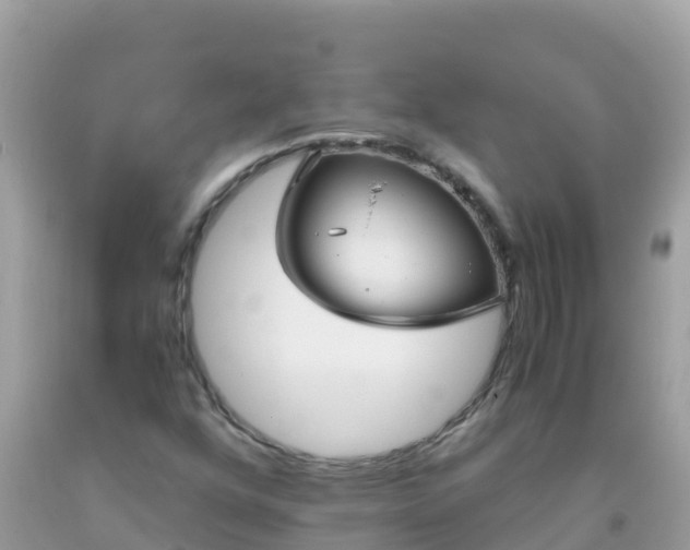 X0000093771352200710231304