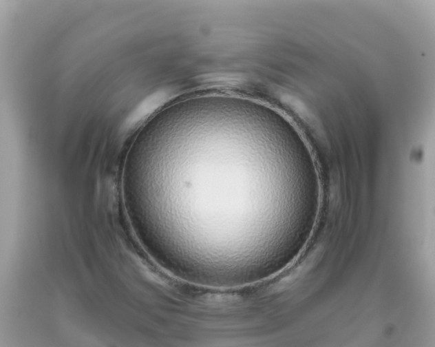 X0000093771354200710231304