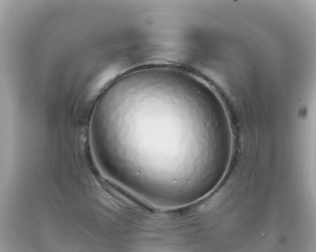 X0000093771355200710231304