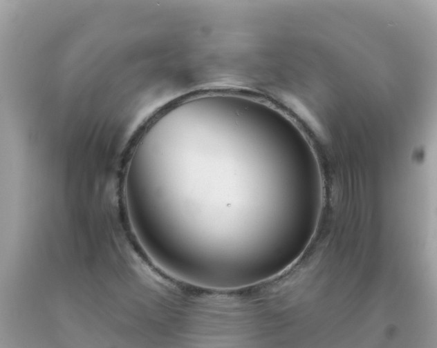 X0000093771356200710231304