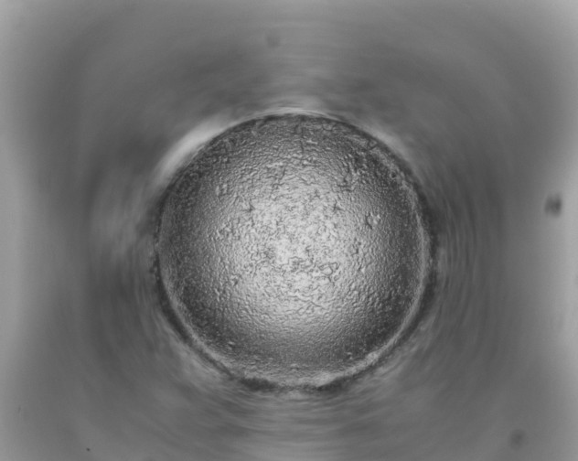 X0000093771359200710231304