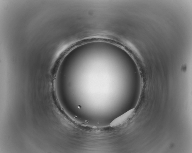 X0000093771360200710231304