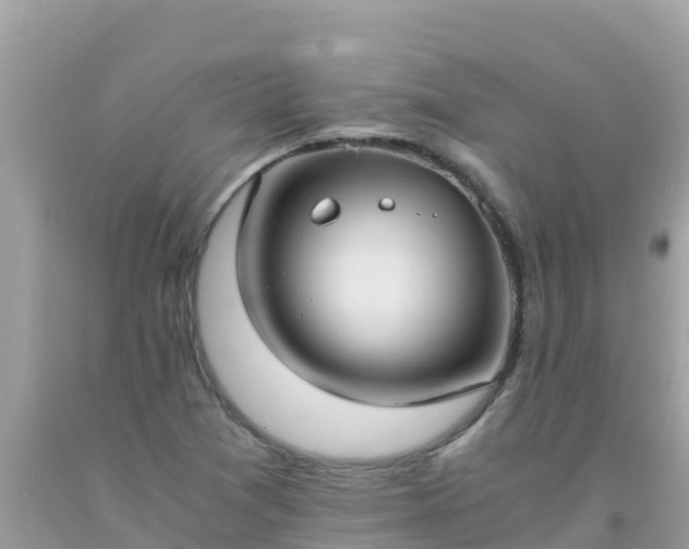 X0000093771361200710231304