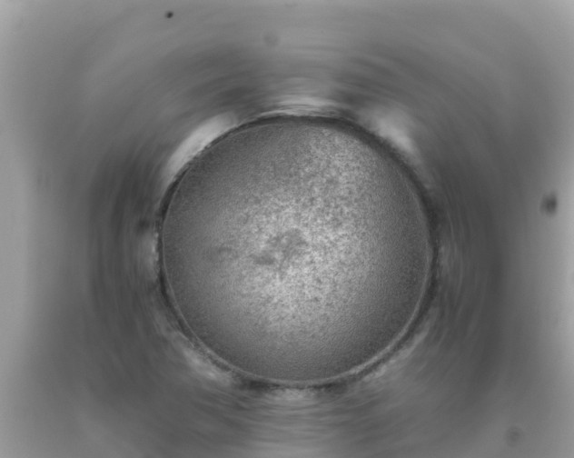 X0000093771362200710231304