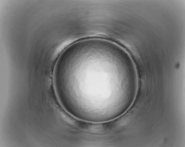 X0000093771363200710231304