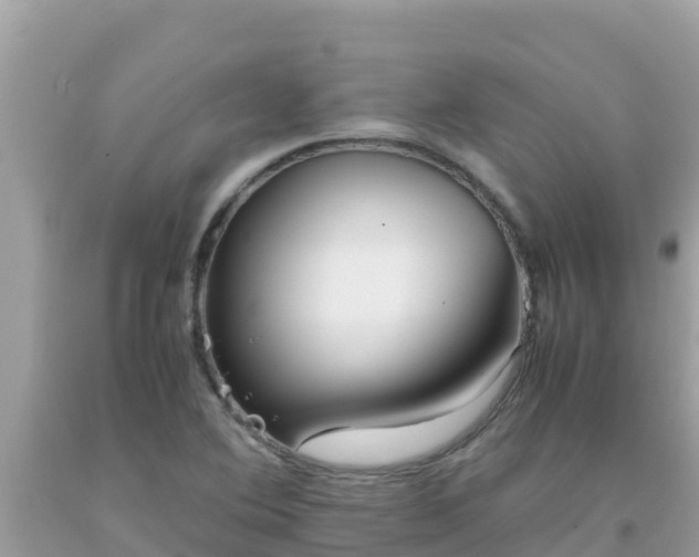 X0000093771364200710231304