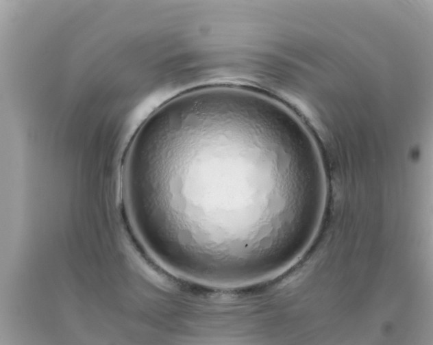 X0000093771371200710231304